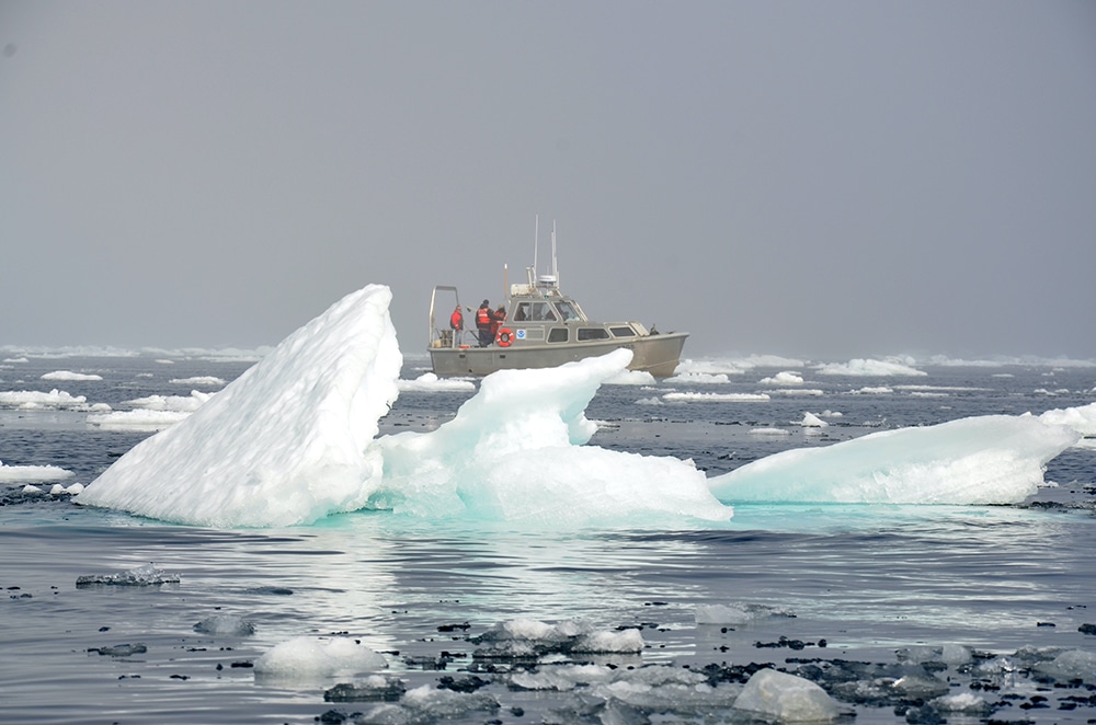 noaa iceberg boat